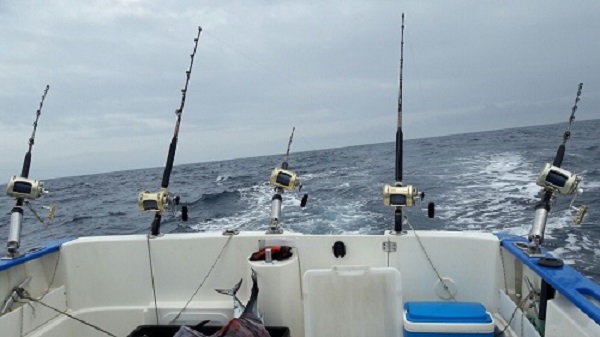 Es más fácil recortar a los pescadores deportivos que a los profesionales