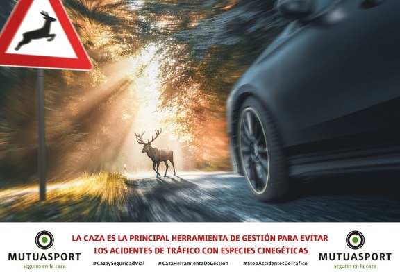 Mutuasport lanza un vídeo sobre la necesidad de la caza  ante los accidentes de tráfico