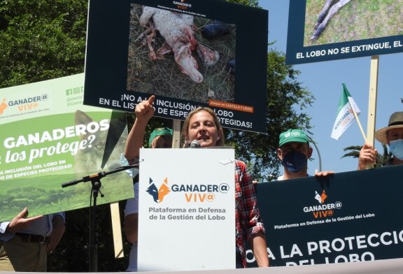 El mundo rural se manifiesta frente al MITECO y reivindica la gestión del lobo para la supervivencia de la España vaciada