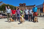 El cántabro Adolfo Posada y ‘Gaby’ se imponen en el XXVIII Campeonato de España de Perros de Rastro modalidad Jabalí