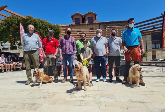 El cántabro Adolfo Posada y ‘Gaby’ se imponen en el XXVIII Campeonato de España de Perros de Rastro modalidad Jabalí