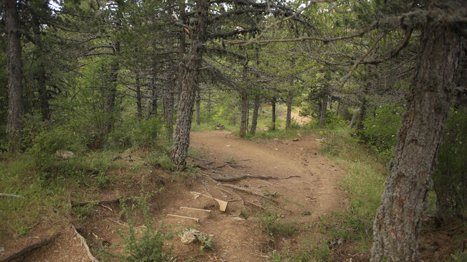 Sierra de las Nieves: La extensa lista de actividades incompatibles que conlleva ser Parque Nacional