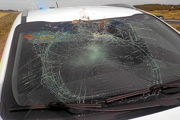 Los cazadores subrayan la idoneidad de la caza frente a los accidentes de tráfico