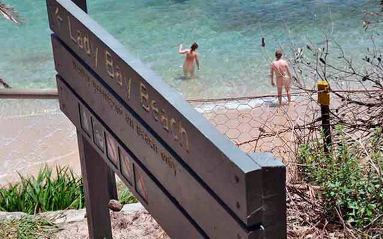 Nudistas australianos rescatados en el bosque tras huir de un ciervo