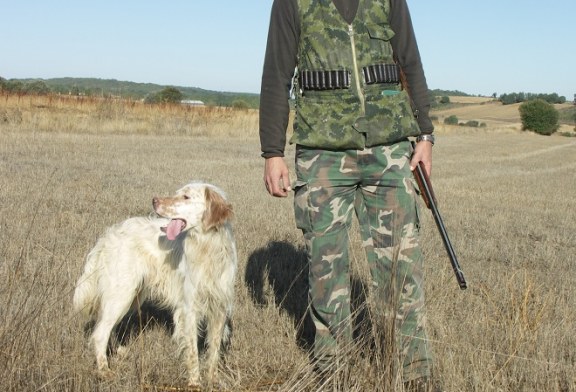 Los perros deben afrontar el arranque de la media veda con preparación y cuidados específicos