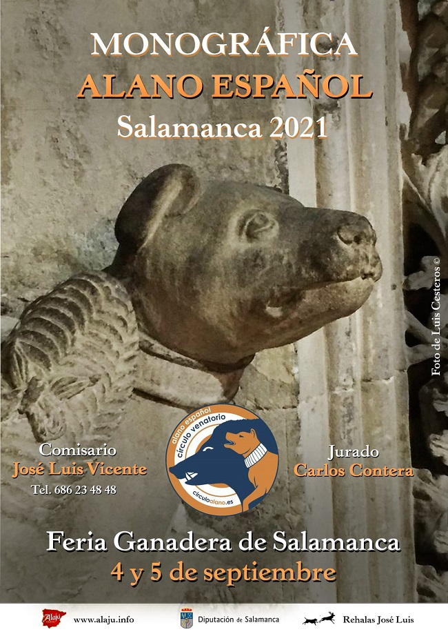 El día del Alano: Feria de Salamanca los días 4 y 5 de septiembre 2021
