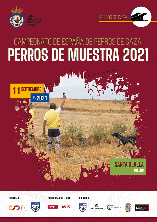 Abiertas las inscripciones para el Campeonato de España de Perros de Muestra – Perros de Caza 2021