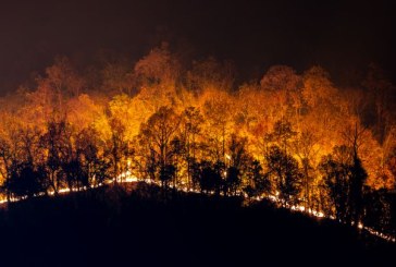 El papel del cazador en los incendios