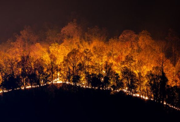 El papel del cazador en los incendios