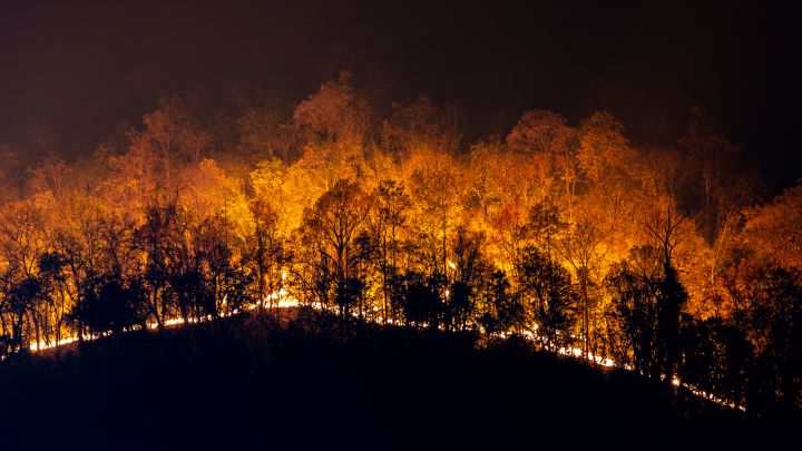 El papel del cazador en los incendios