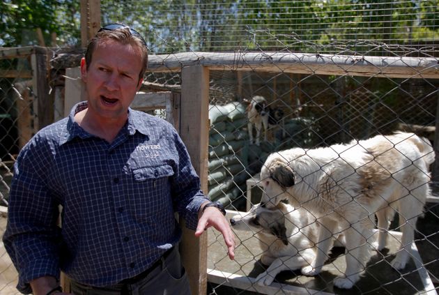 Evacuan 200 perros y gatos de Afganistán mientras cuidadores de este refugio animalista son abandonados