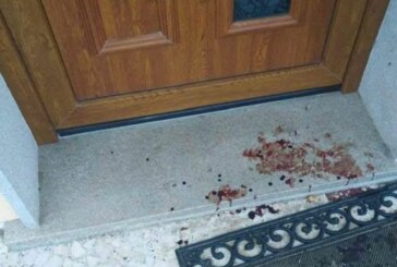 Los lobos matan a un perro en la puerta de una casa en Ourol con dos niños dentro