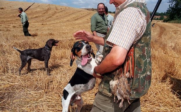 La Rioja. La media veda arranca con dudas por la «escasez» de codornices