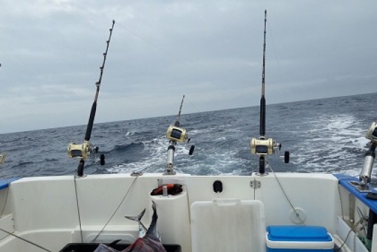 La pesca recreativa en una embarcación es mucho más segura que desde la costa