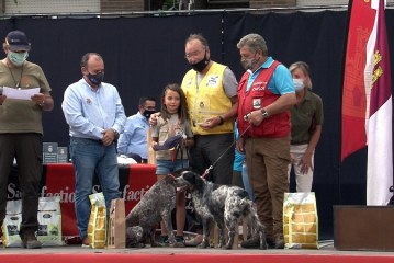 José Luis Llona y Fany se hacen en Toledo con el Campeonato de España de Perros de Muestra