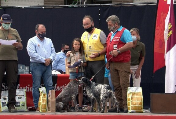 José Luis Llona y Fany se hacen en Toledo con el Campeonato de España de Perros de Muestra