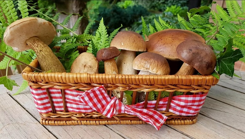 Despensa de otoño: caza, setas, mariscos… la mejor época gastronómica del año