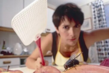 Matar una mosca podría costarte 600.000 euros, según la ley animalista del Gobierno