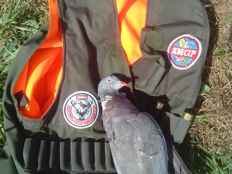 Los aficionados ponen a punto sus puestos para la pasa de palomas y malvices