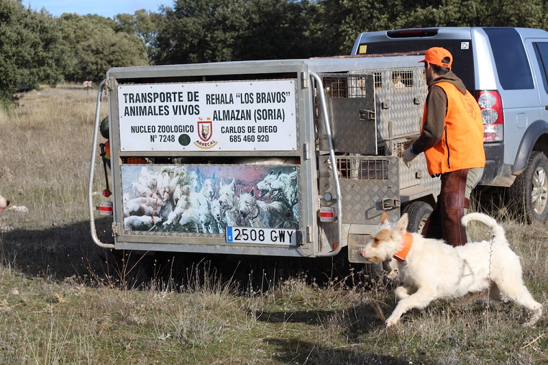 ARRECAL logra que los rehaleros puedan optar a las ayudas para centros de limpieza y desinfección de vehículos de transporte de ganado