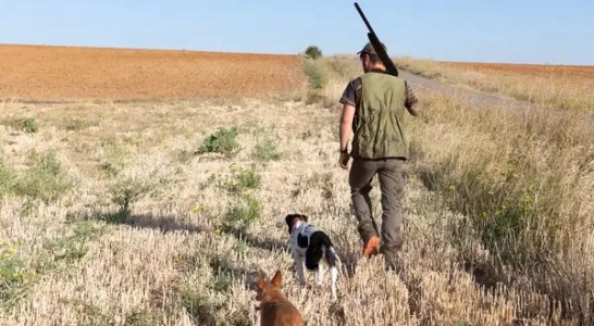 Los cazadores andaluces avisan de que la Ley de Bienestar Animal supondría el fin de la caza
