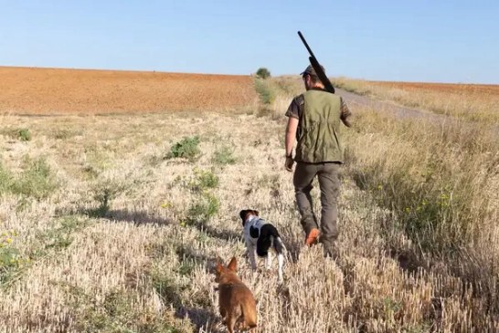 Los cazadores andaluces avisan de que la Ley de Bienestar Animal supondría el fin de la caza