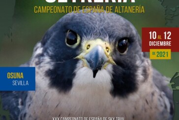 Osuna acogerá el Campeonato de España de Altanería 2021