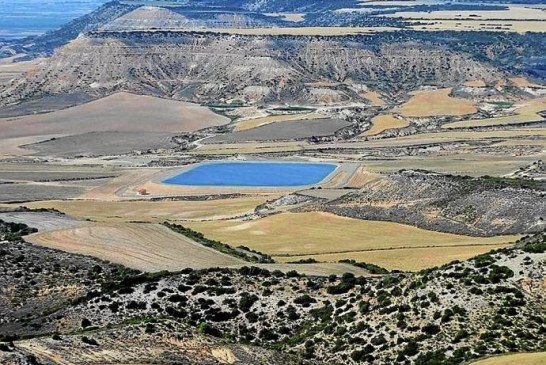 La perdiz tiene salvación con mejoras medioambientales