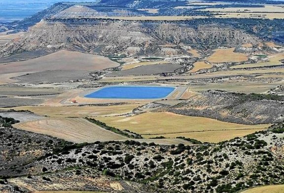 La perdiz tiene salvación con mejoras medioambientales