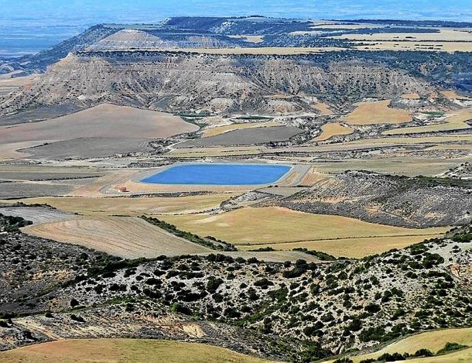 La perdiz tiene salvación con mejoras medioambientales