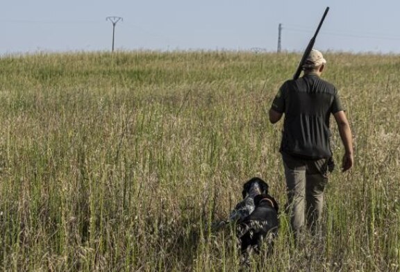 Moncloa baraja diferenciar a los perros de caza en la ley de protección animal