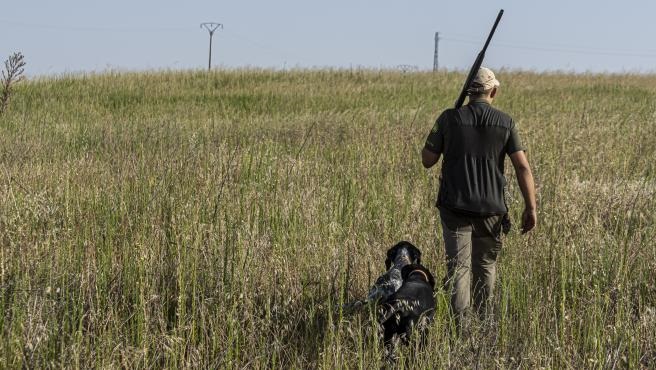 Moncloa baraja diferenciar a los perros de caza en la ley de protección animal