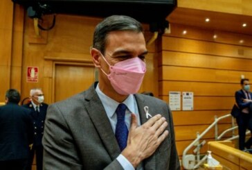 Sánchez prepara un Comisionado para el Bienestar Animal para que toda España respete su «sensibilidad»
