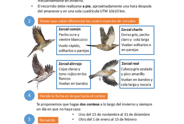 El Observatorio Cinegético anima a los cazadores a realizar censos de migratorias invernantes