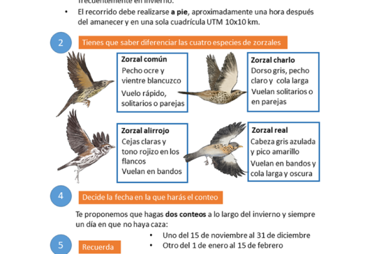 El Observatorio Cinegético anima a los cazadores a realizar censos de migratorias invernantes