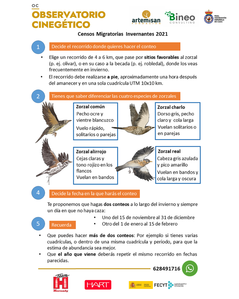 El Observatorio Cinegético anima a los cazadores a realizar censos de migratorias invernantes