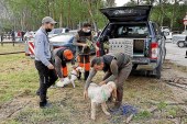 El 98% de los cazadores y de los cotos de Navarra respeta la normativa vigente