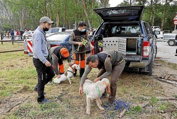 El 98% de los cazadores y de los cotos de Navarra respeta la normativa vigente