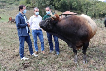 El ministro Garzón se supera: Cree que quien defiende el consumo de carne son “hombres que veían afectada su masculinidad”