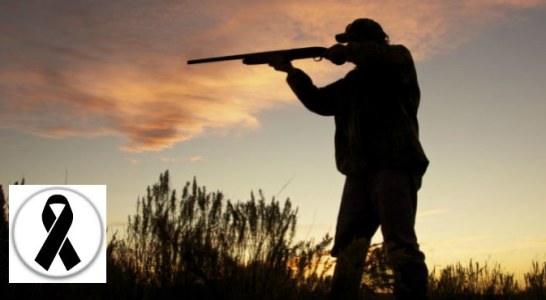 Muere un cazador en Ávila tras recibir un disparo accidental