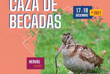 El nuevo campeón de España de Caza de Becadas se decidirá en Cáceres el 18 de diciembre