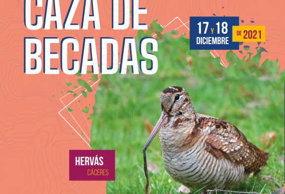 El nuevo campeón de España de Caza de Becadas se decidirá en Cáceres el 18 de diciembre