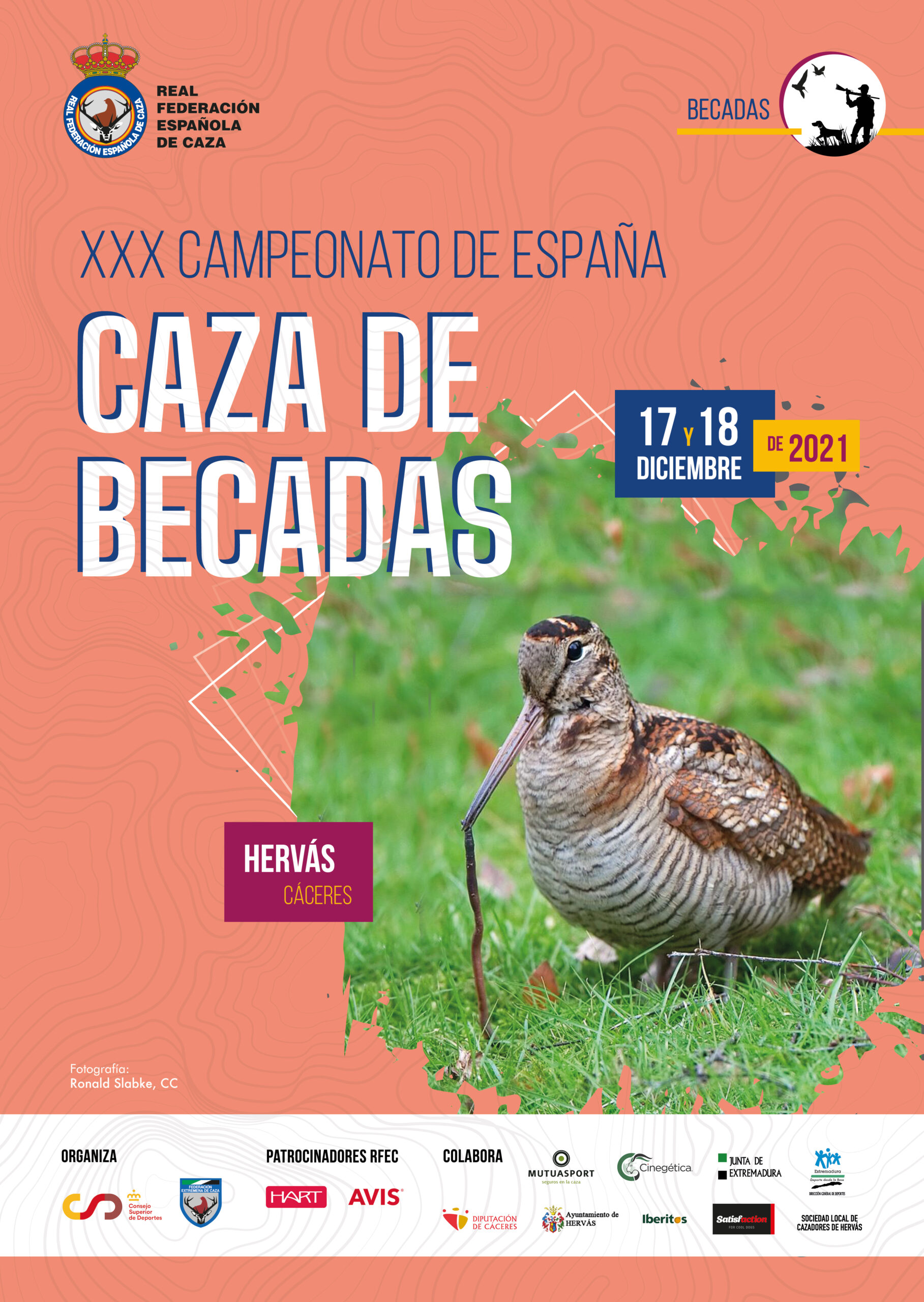 El nuevo campeón de España de Caza de Becadas se decidirá en Cáceres el 18 de diciembre