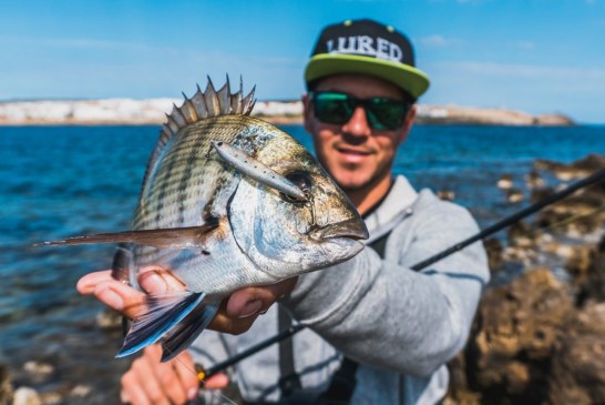 Tipos de señuelos y técnicas de uso para RockFishing