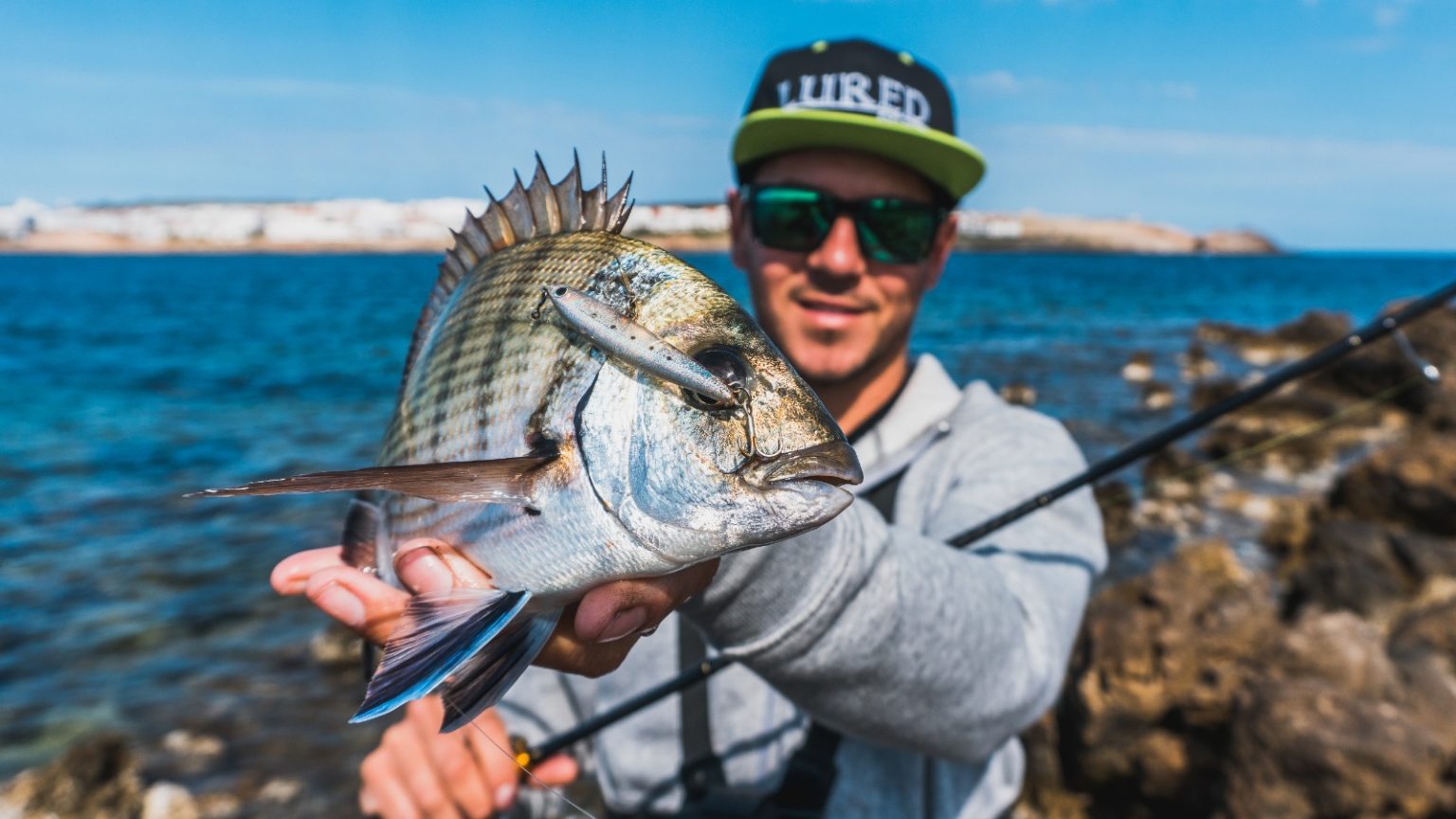 Tipos de señuelos y técnicas de uso para RockFishing