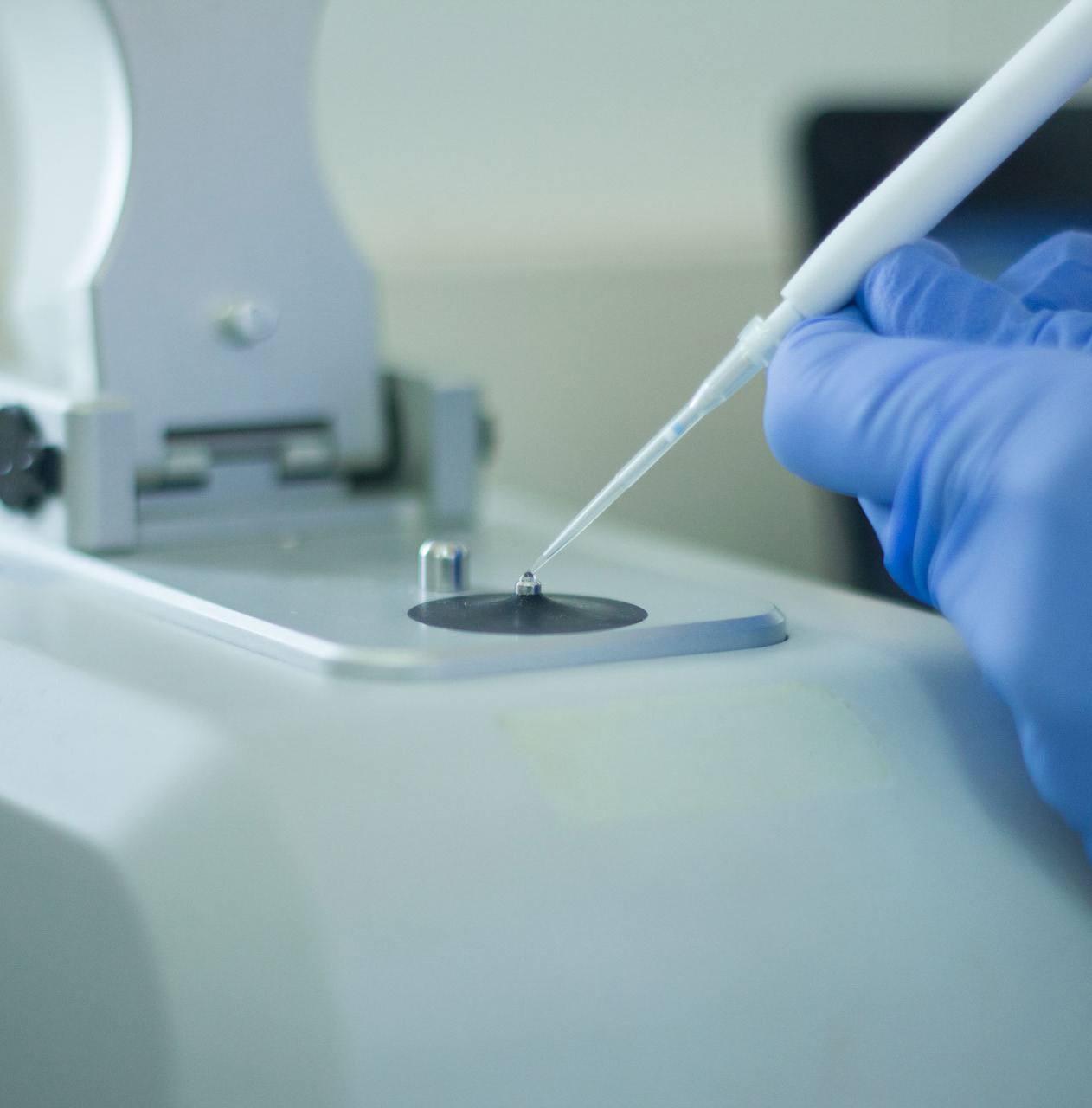 Una PCR para asegurar la procedencia de los mejillones