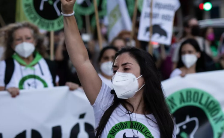 La sociedad da la espalda al animalismo. PACMA se hunde en la política