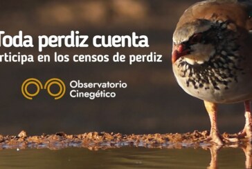 “Toda perdiz cuenta”: campaña de censos para asegurar el futuro de la conservación y caza de la perdiz roja