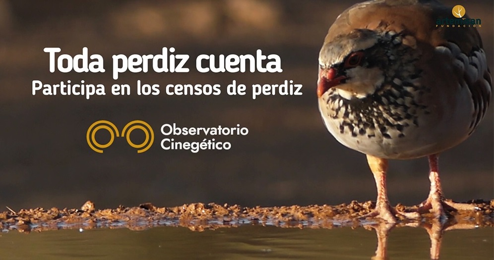 “Toda perdiz cuenta”: campaña de censos para asegurar el futuro de la conservación y caza de la perdiz roja