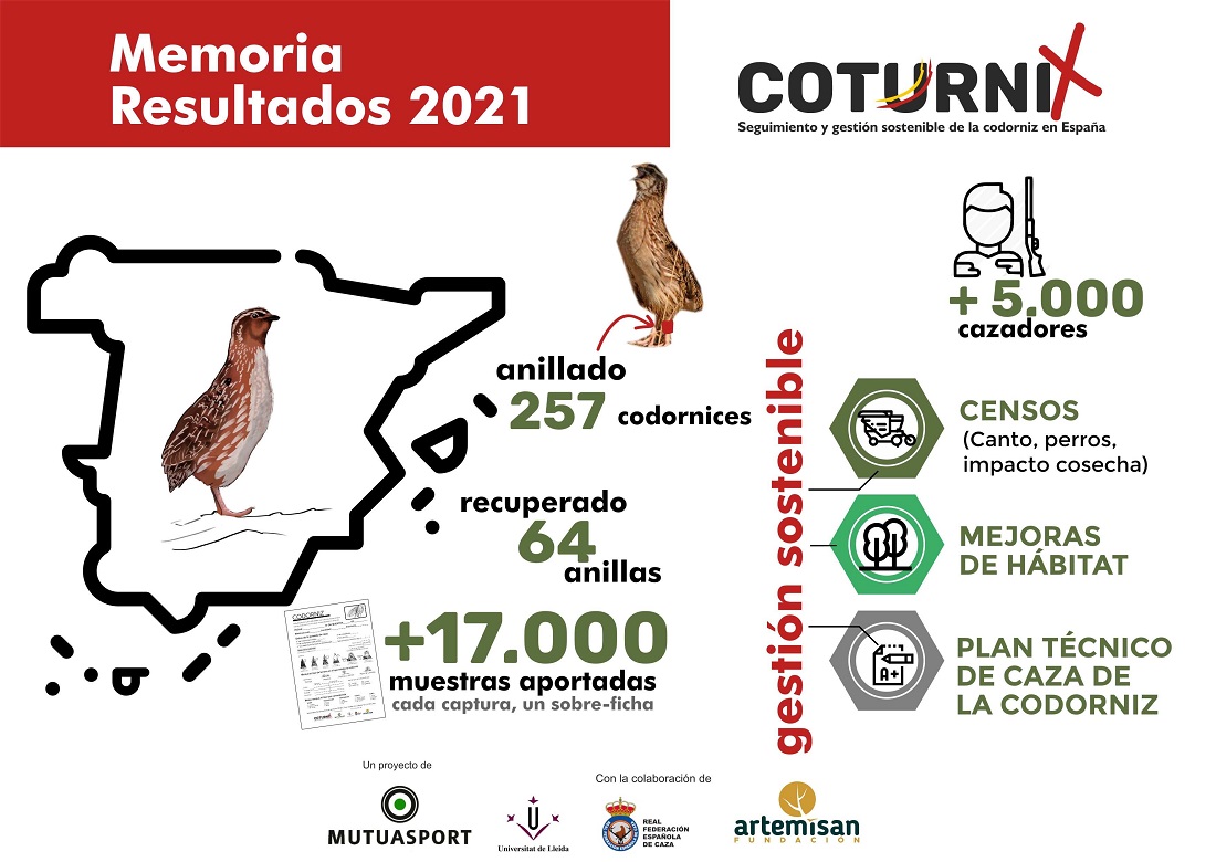 El Proyecto Coturnix recibe más de 17.000 muestras biológicas de codorniz